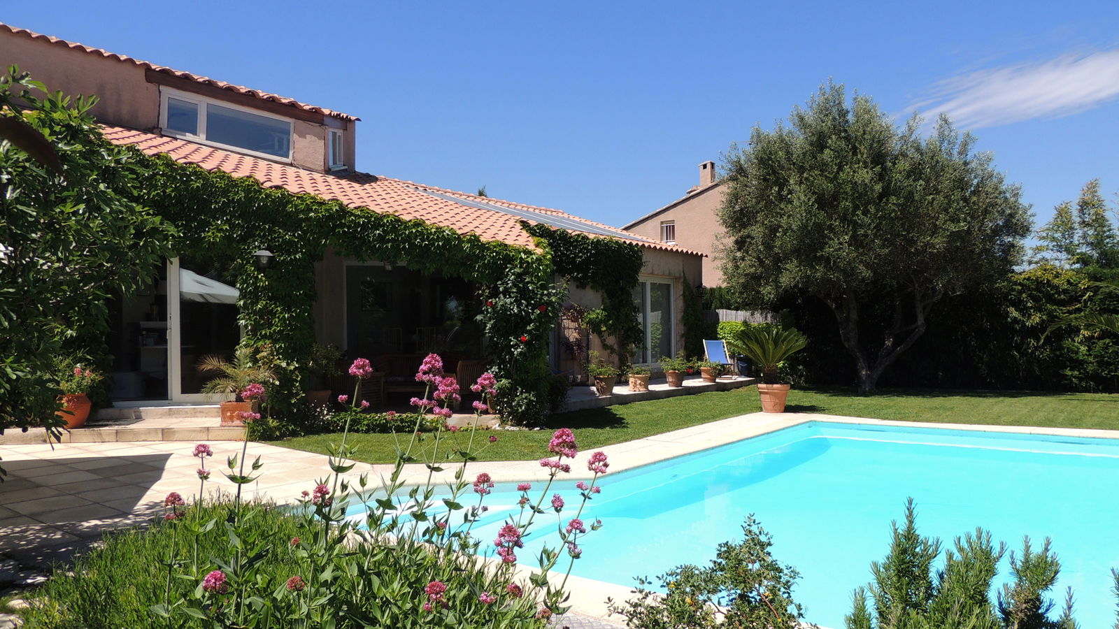 Entire Home Saint-Gély-du-Fesc 163230