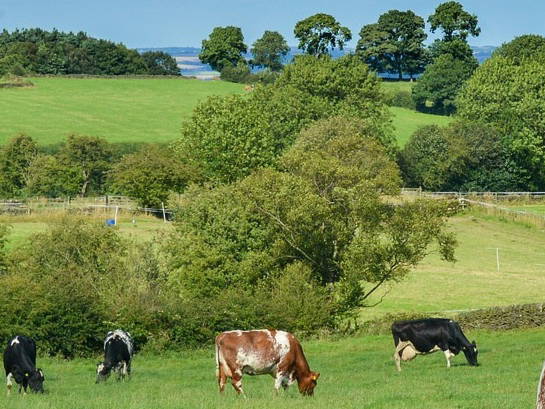 Tuisverblyf Fruges 230729-3