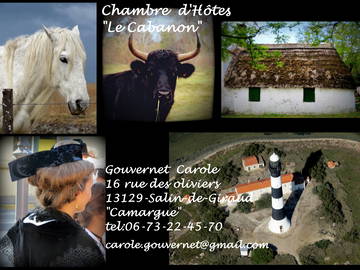 Chambre D'hôte Arles 39535-4