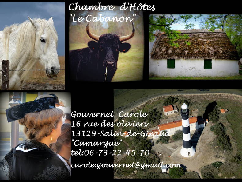 Chambres D'hôtes Arles 39535-4