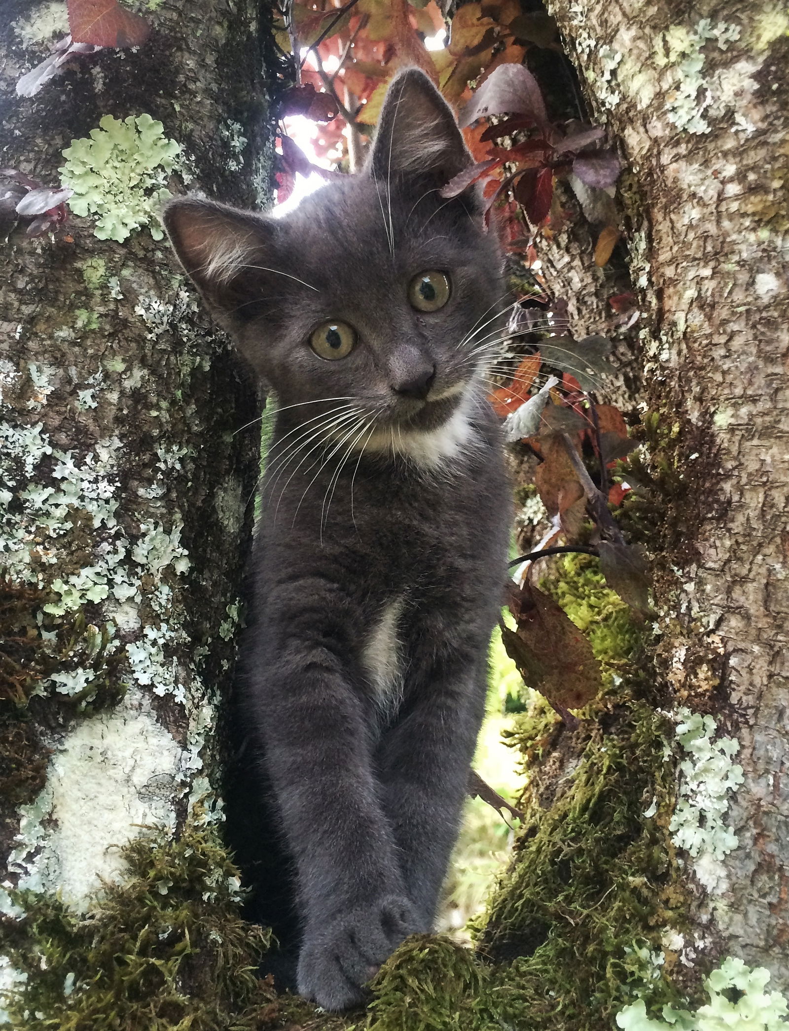 Bed And Breakfast Fourbanne 46072