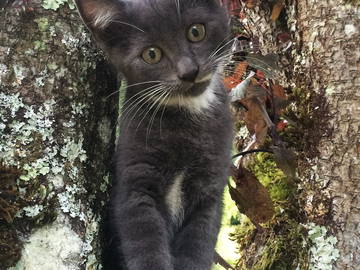 Chambre D'hôte Fourbanne 46072-5