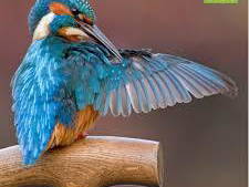 Chambre D'hôte Fourbanne 46072-9