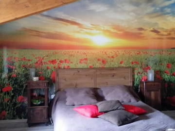 Logement Entier Seysses-Savès 49974-4