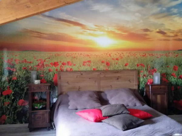 Logement Entier Seysses-Savès 49974-4