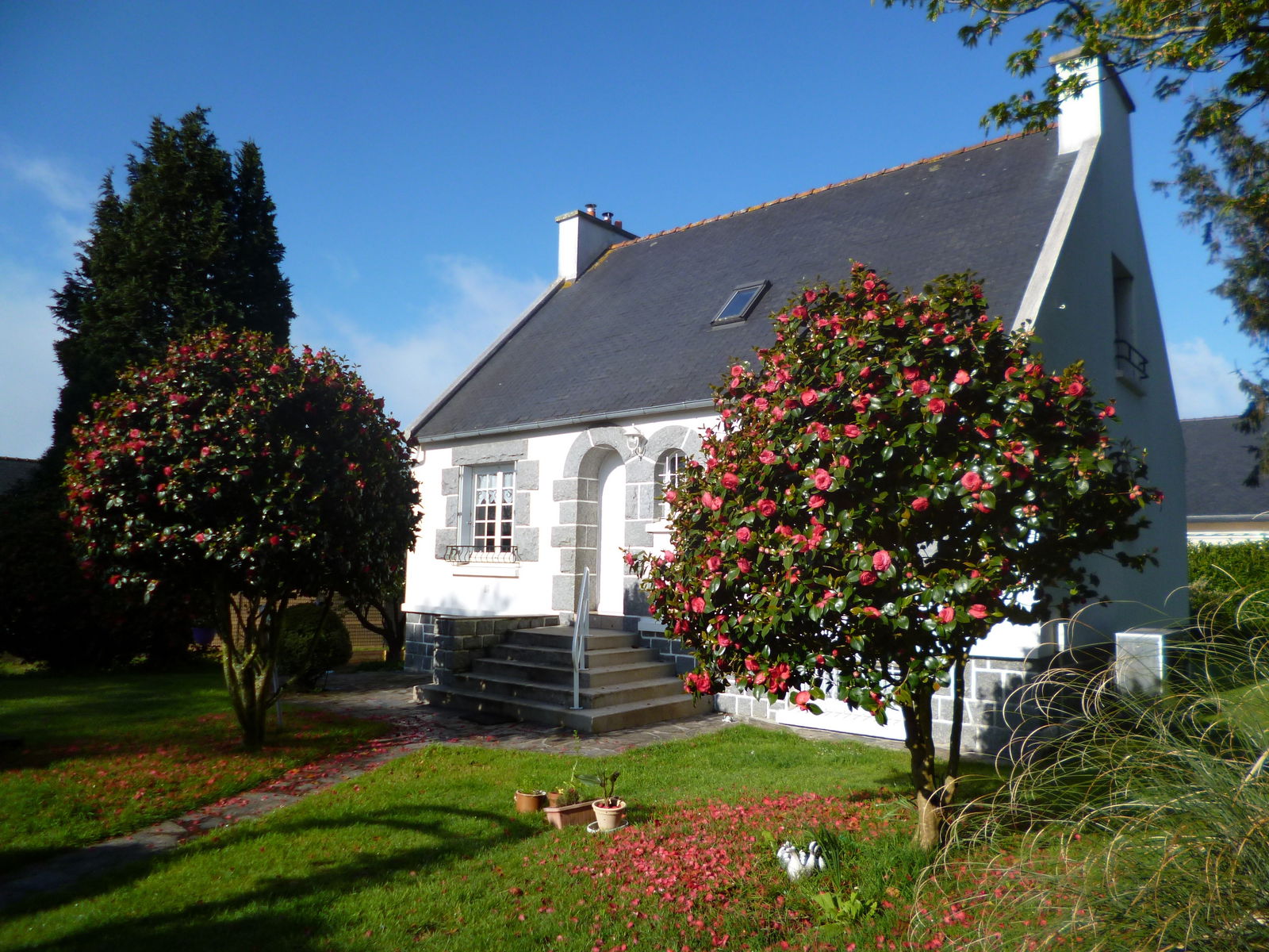Bed And Breakfast Dirinon 64674