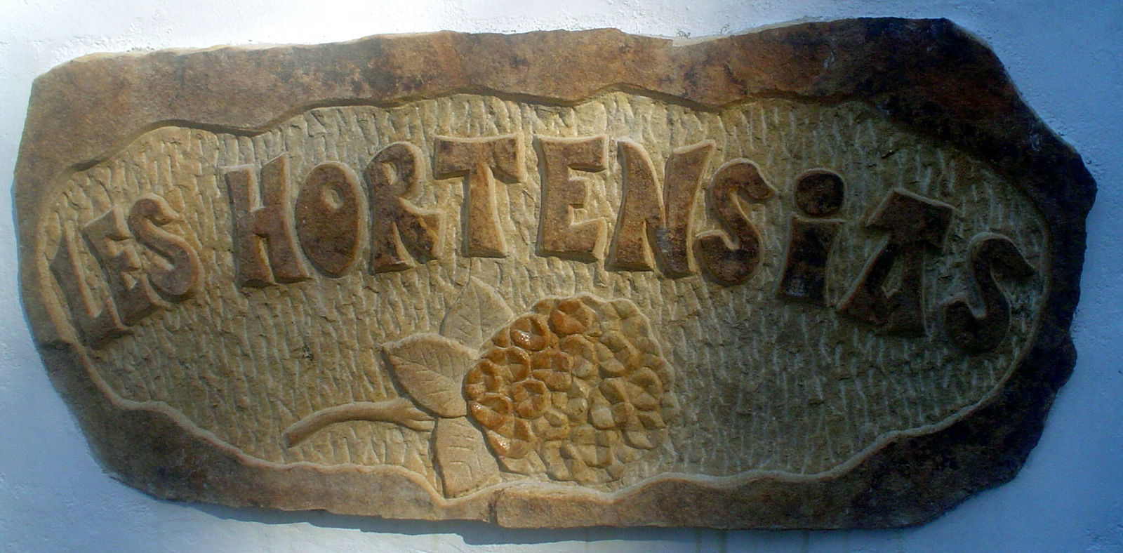 Gästrum Arcangues 74459