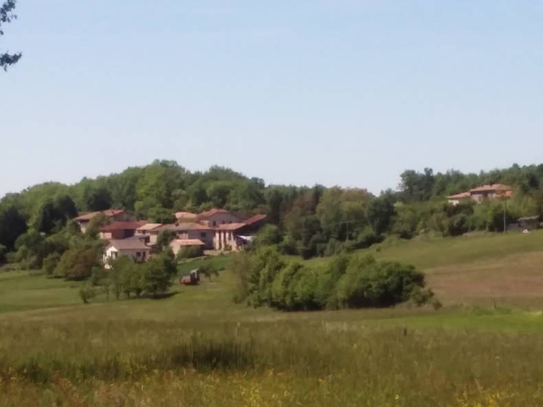 Chambre Chez L'habitant Tourtouse 108225-2