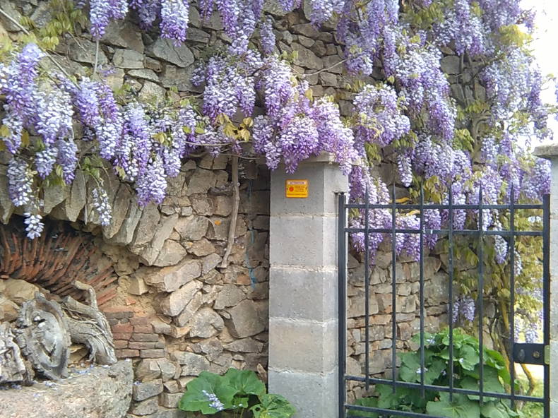 Habitaciones De Huéspedes Chaillac 111525-3
