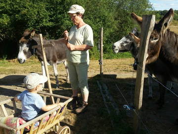 Chambre D'hôte Chaillac 111525-4