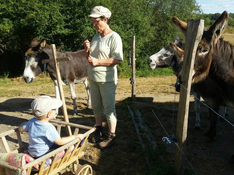 Habitaciones De Huéspedes Chaillac 111525-4