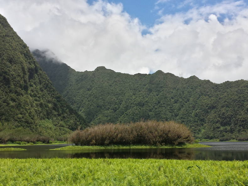 Chambres D'hôtes Saint Benoit 118110-2