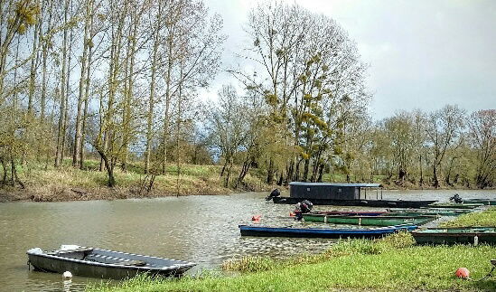 Bed And Breakfast Champtoceaux 141127