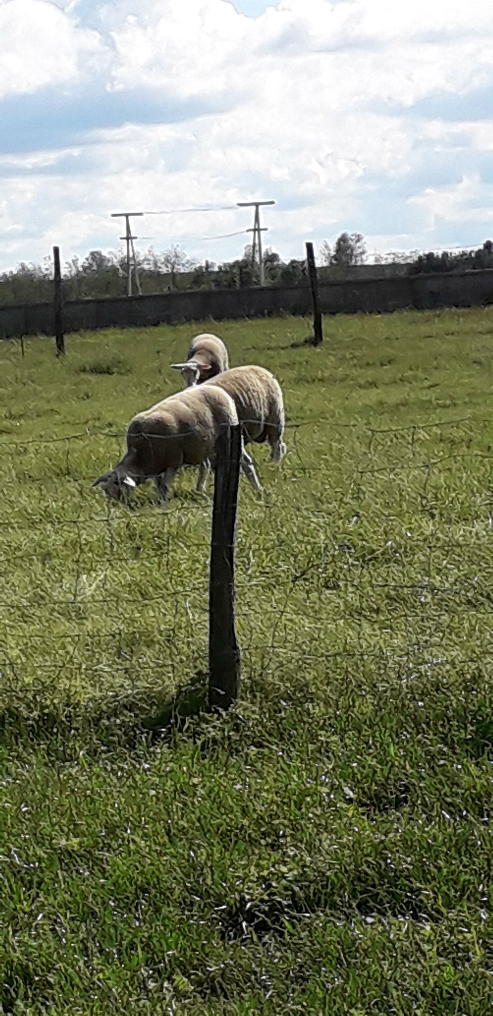 Independent Studio Saint-Maurice-en-Gourgois 220285