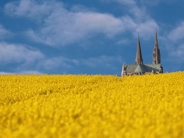 Chambre D'hôte Thivars 171533-12