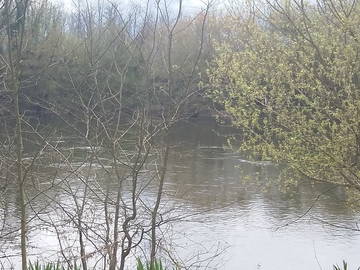Chambre Chez L'habitant Lamothe-Montravel 201442-5