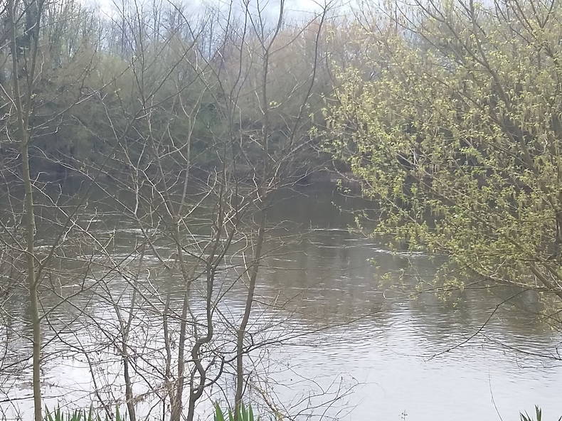 Quedarse En Casa Lamothe-Montravel 201442-5