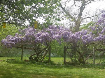 Chambre Chez L'habitant Lamothe-Montravel 201442-6