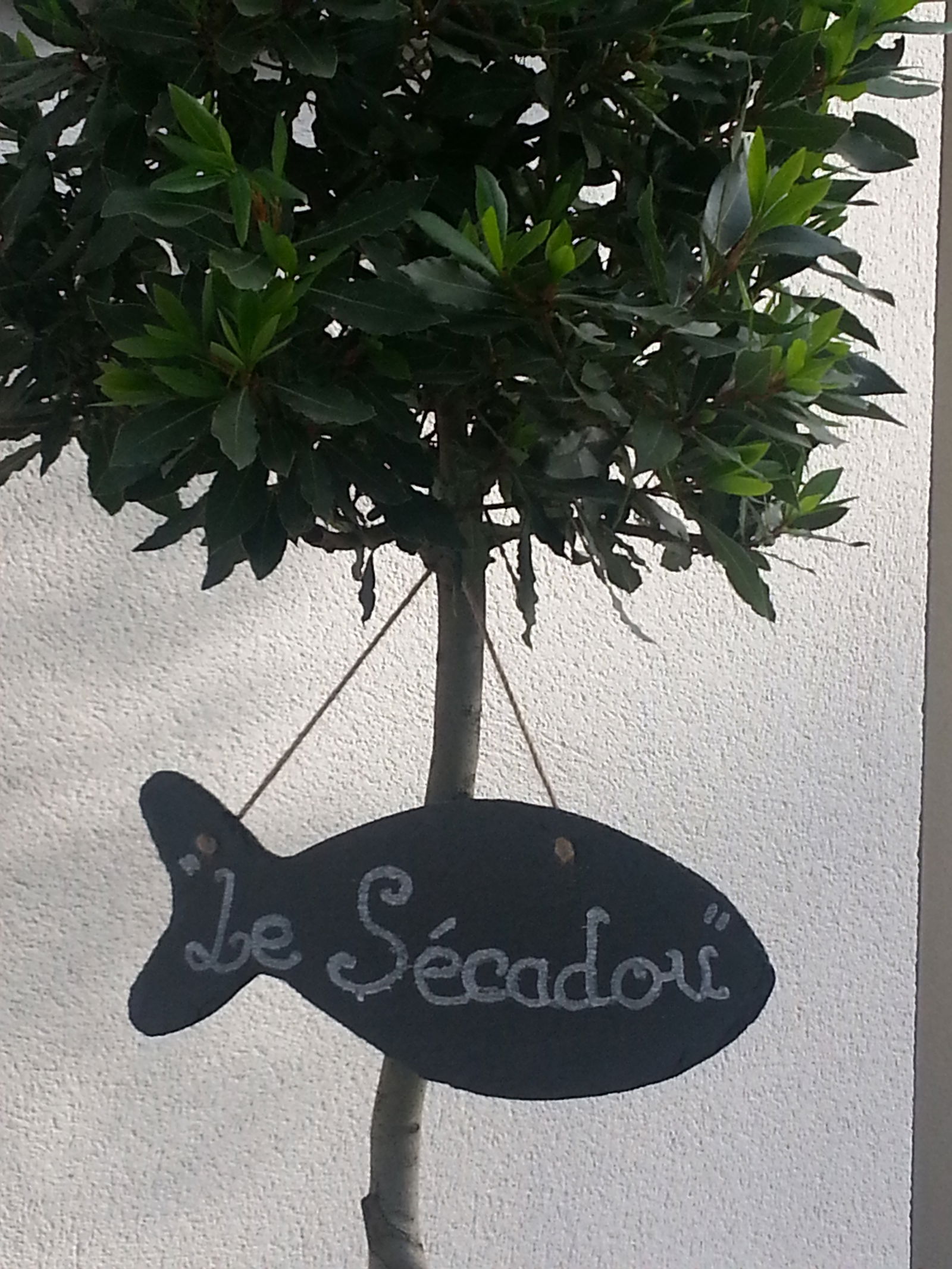 Bed And Breakfast La Ciotat 103913