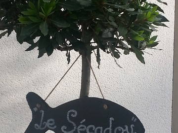 Chambre D'hôte La Ciotat 103913-7