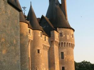 Chambre À Louer Fougères-Sur-Bièvre 66028