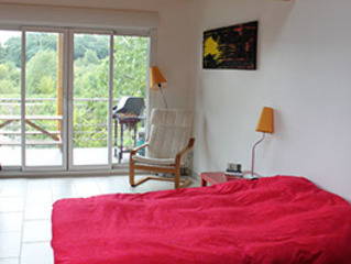 Chambres D'hôtes Carrières-sous-Poissy 11669-1