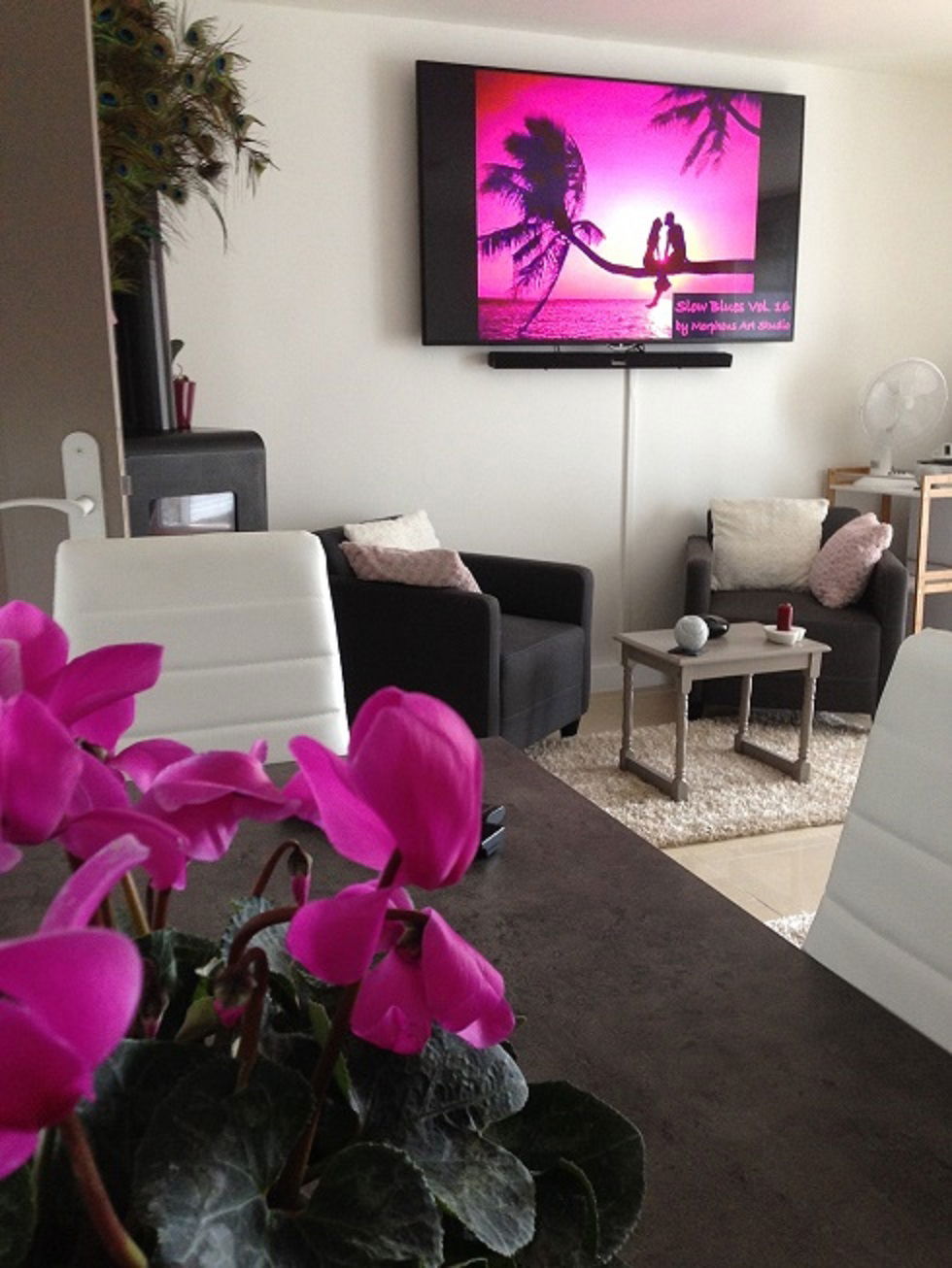 Quedarse En Casa Tournefort 214399