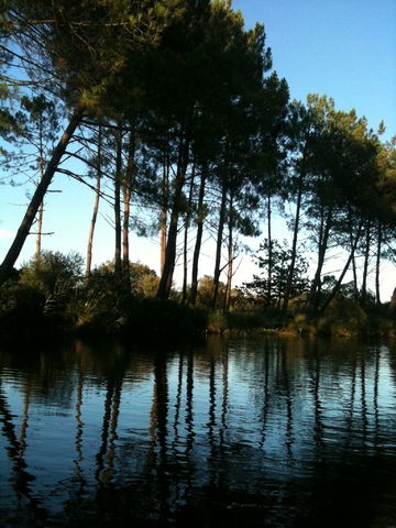 Habitaciones De Huéspedes Biscarrosse 18177