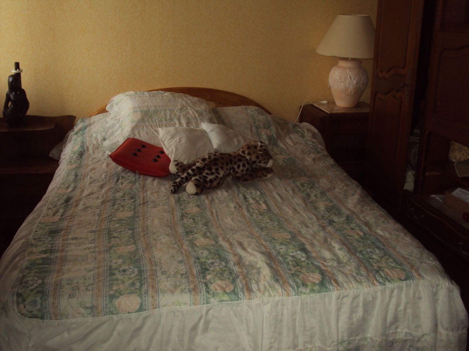 Quedarse En Casa Albi 63797