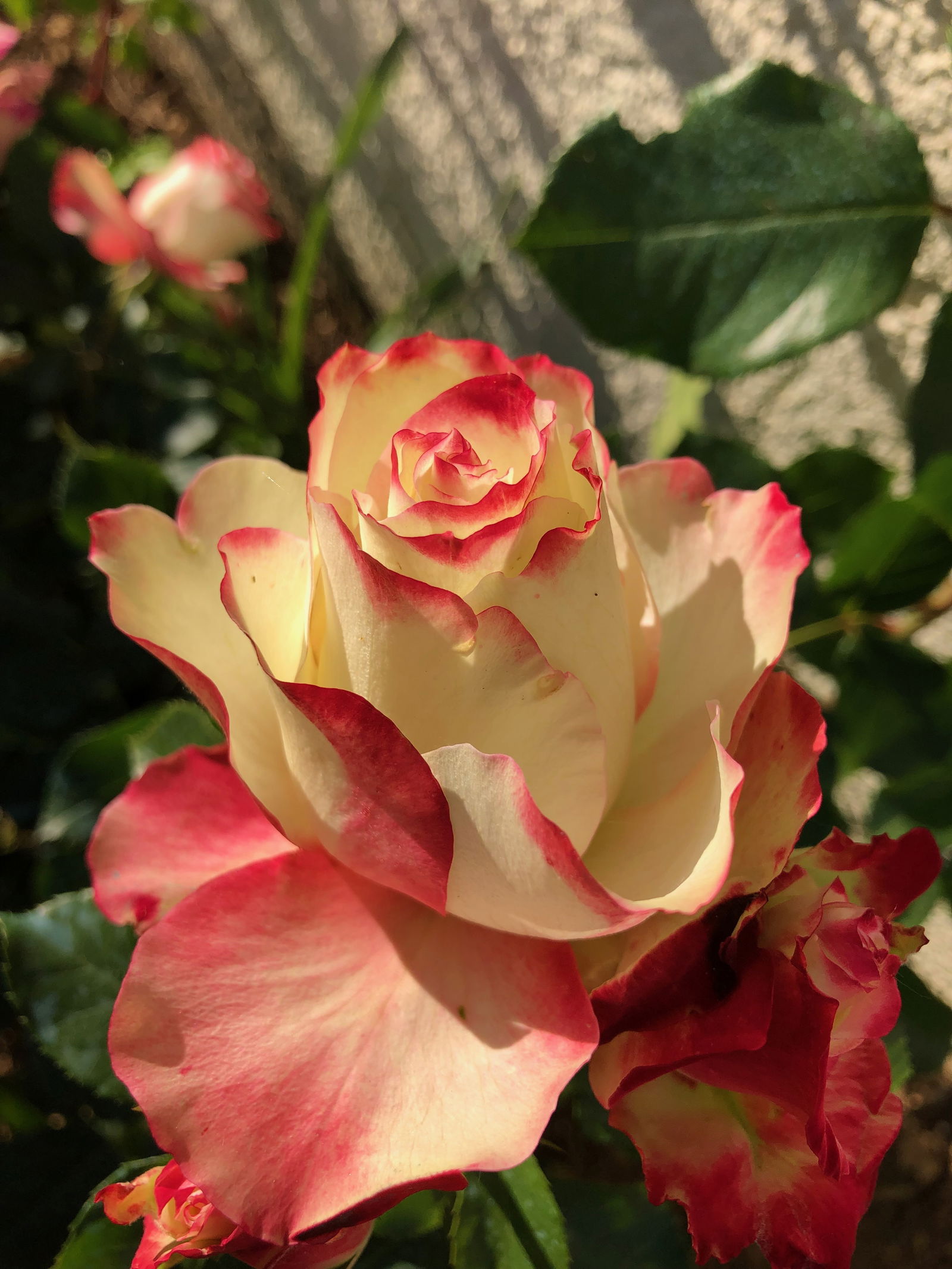 Habitaciones De Huéspedes Neuville-de-Poitou 64070