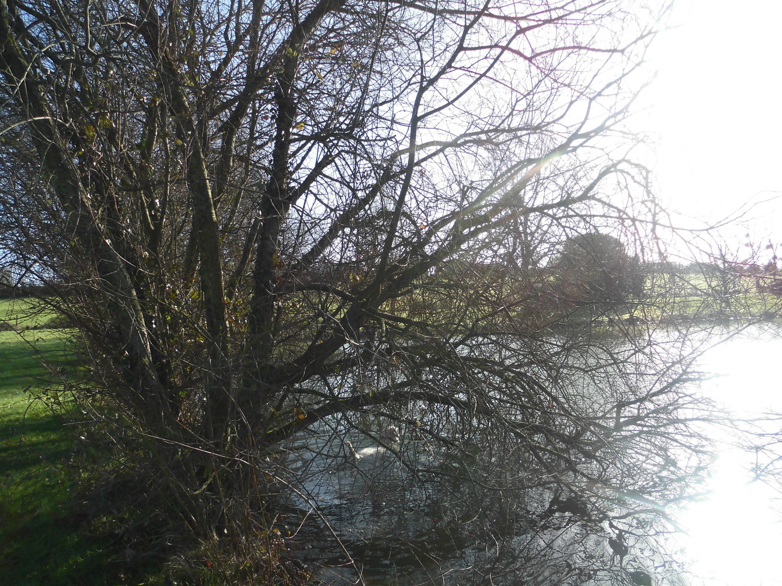 Habitaciones De Huéspedes Saint-Germier 75270