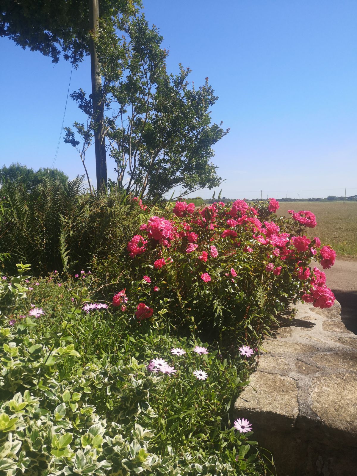 Gästezimmer Mahalon 30034