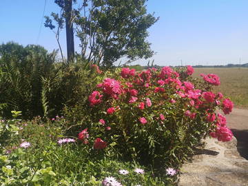 Chambre D'hôte Mahalon 30034-15