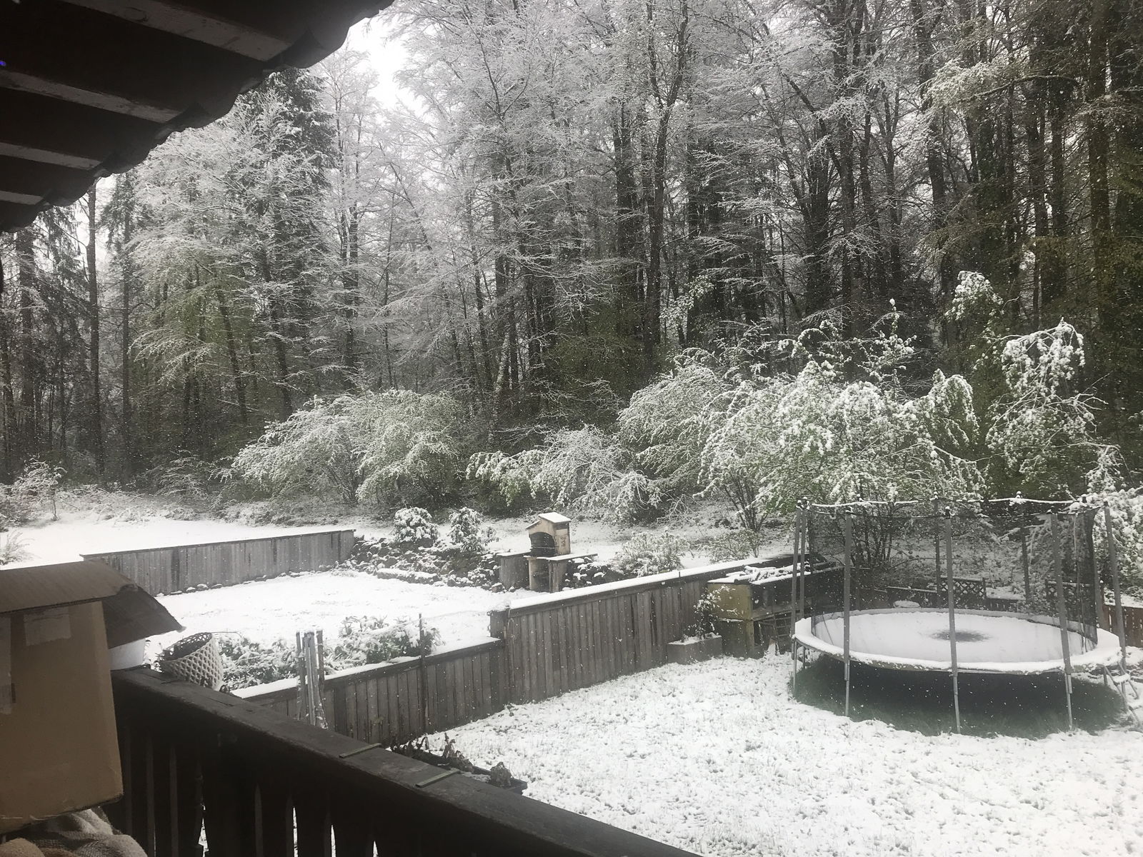 Gästrum Morillon 581733