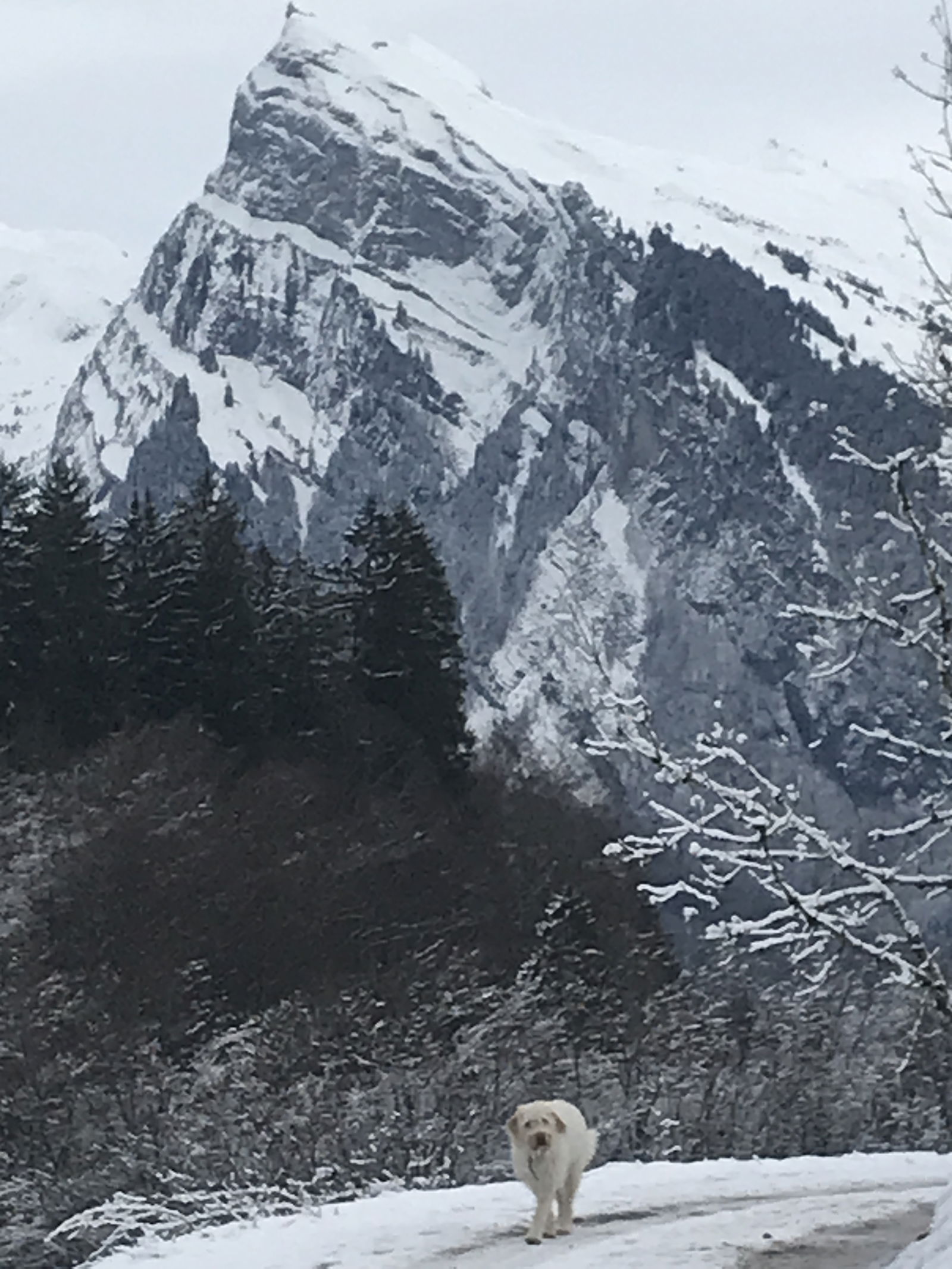 Bed And Breakfast Morillon 581733