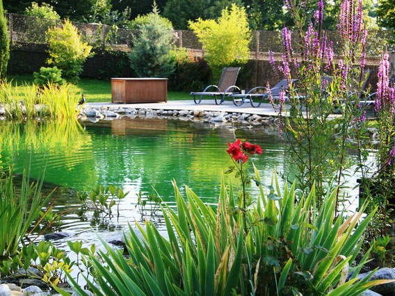 Bed And Breakfast Trévignin 9598-3