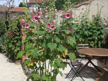 Quedarse En Casa Saint-Prouant 28098-9