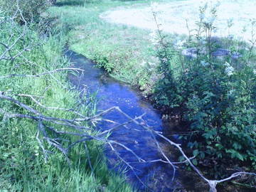 Chambre D'hôte Saint-Léonard 39234-7