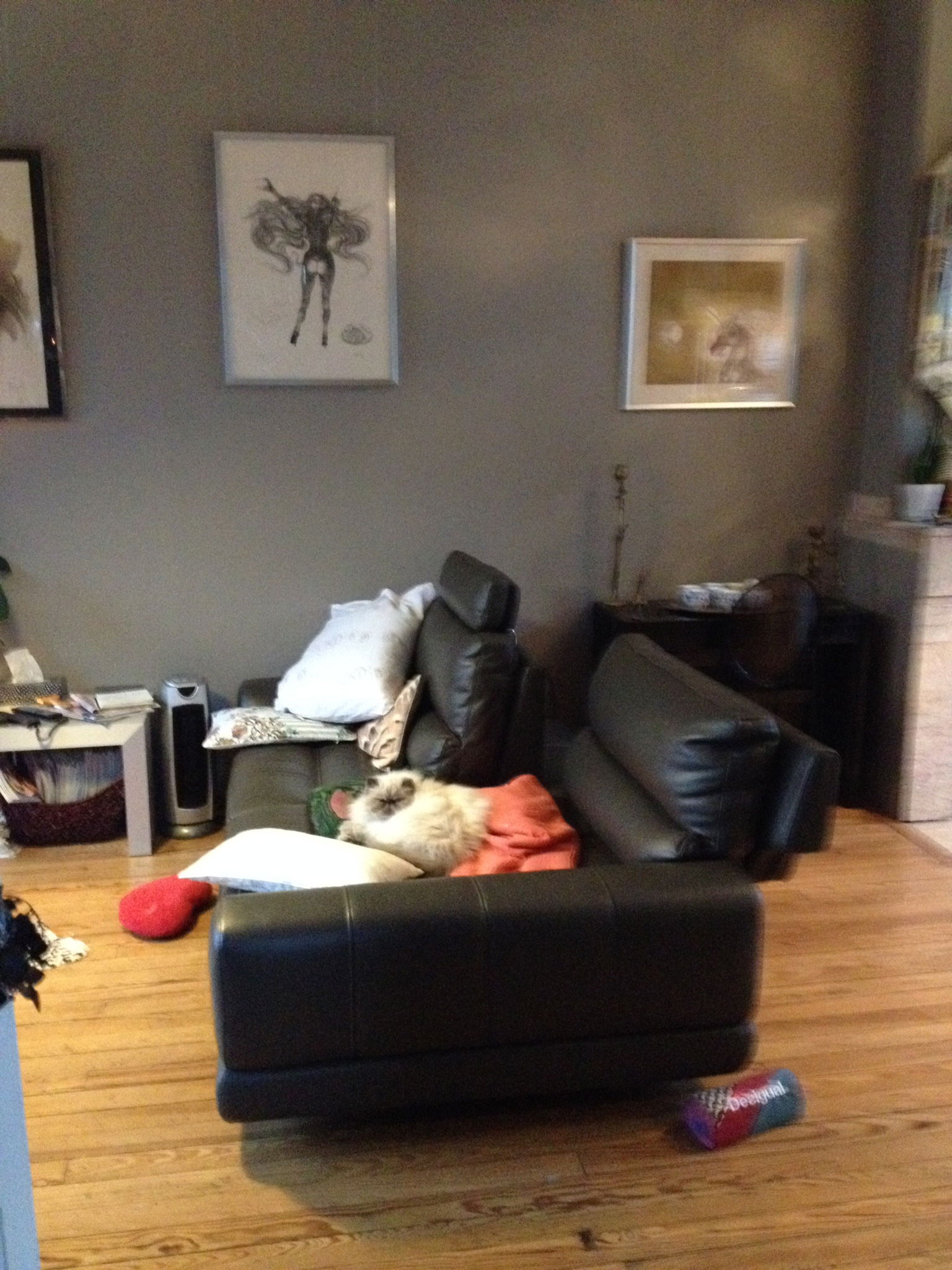 Homestay Toulouse 40921