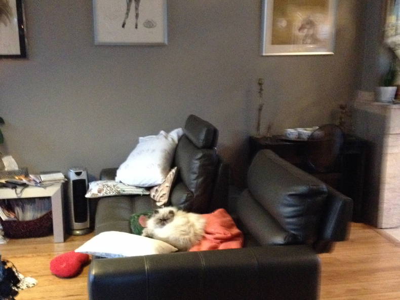 Homestay Toulouse 40921-4