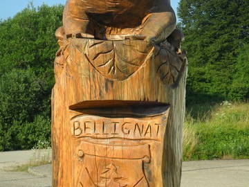 Chambre D'hôte Bellignat 49742-9