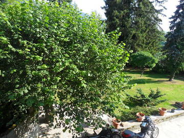 Chambre D'hôte Bellignat 50989-6