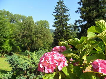 Chambre D'hôte Bellignat 50989-10