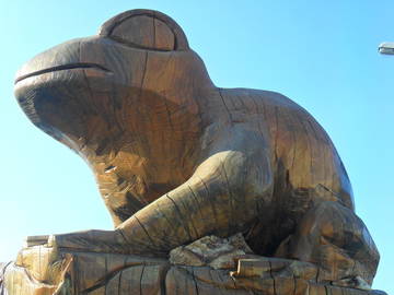 Chambre D'hôte Bellignat 50989-12