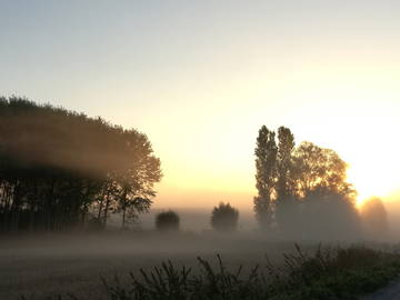 Chambre D'hôte Civray-Sur-Esves 64943-6