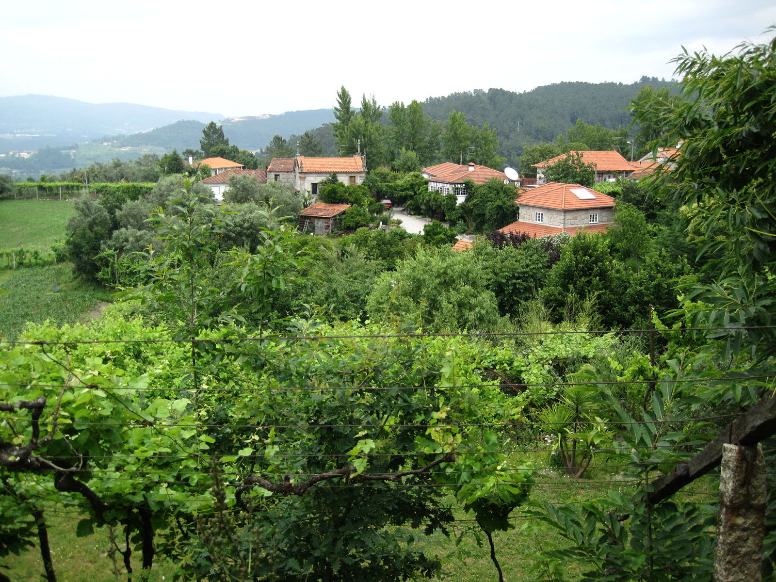 Bed And Breakfast Vila Chã do Marão 67967