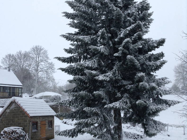 Camere Per Gli Ospiti Tauves 83807-3