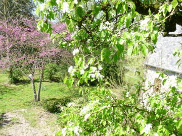 Chambre D'hôte Cottun 96375-12