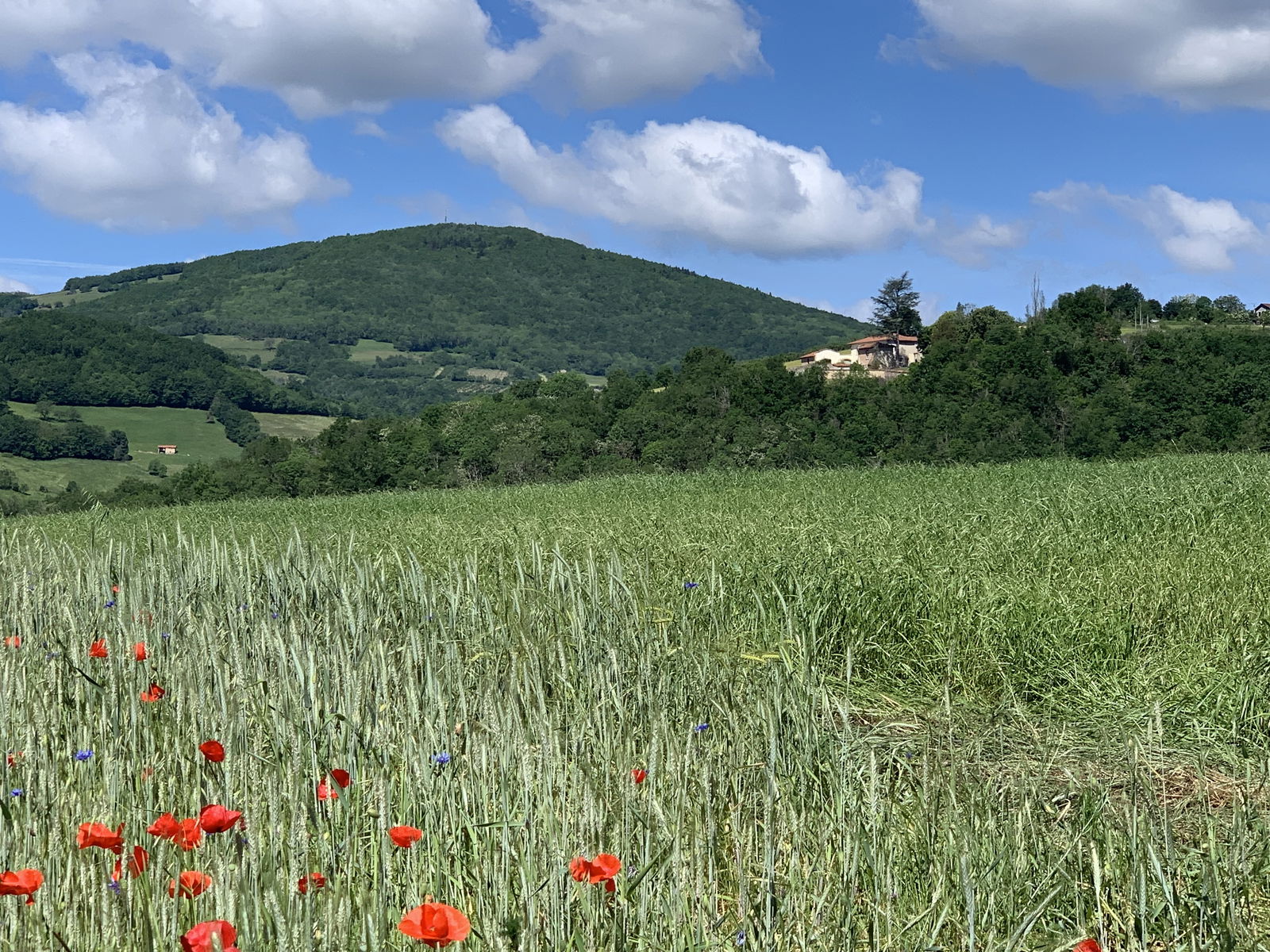 Homestay Savigny 223494