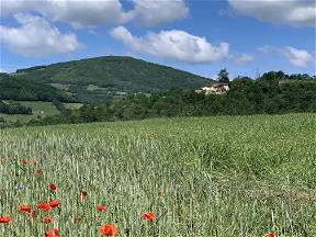 Bed And Breakfast In Affitto